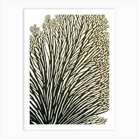 Acropora Tenella Iii Linocut Art Print