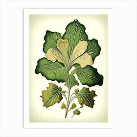 Primrose Leaf Vintage Botanical 1 Art Print