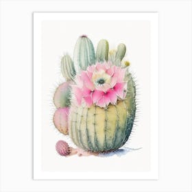 Pincushion Cactus Pastel Watercolour Art Print
