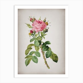 Vintage Lelieur's Four Seasons Rose Botanical on Parchment n.0009 Art Print
