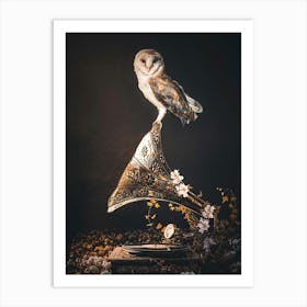 Owl On Gramophone Art Print