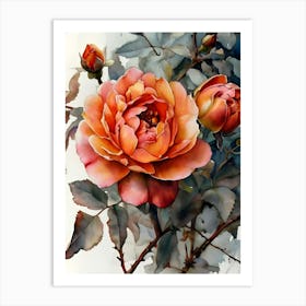 Roses 5 Art Print