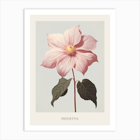 Floral Illustration Poinsettia 1 Poster Art Print