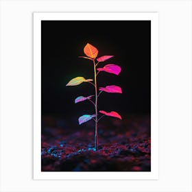 Plant In The Dark 20 Art Print