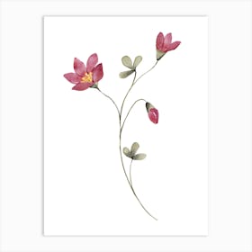 Lotus Flower 105 Art Print