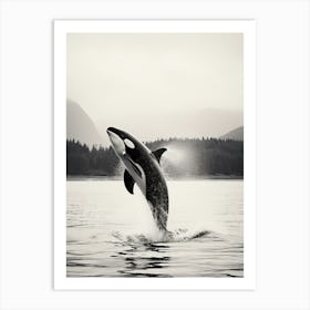 Realistic Black & White Photography Of Orca Whale Diving Out Of Ocean 2 Art Print