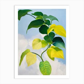 Golden Pothos Bold Graphic Art Print