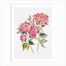 Watercolour Roses Art Print