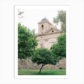 Orange Trees In Front Of A Church // Valencia, Spain, Travel Photography Art Print