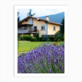 Lavender Flowers In Front Of A House Art Print