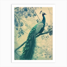 Vintage Turquoise Peacock In A Tree Cyanotype Inspired1 Art Print