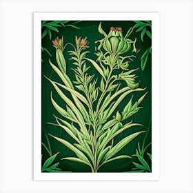 Tarragon Herb Vintage Botanical Art Print