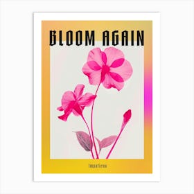 Hot Pink Impatiens 2 Poster Art Print