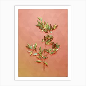 Vintage Fontanesia Phillyreoides Botanical Art on Peach Pink n.1025 Art Print