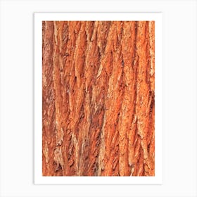 Tree bark Art Print