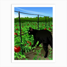 Black Cat In Tomato Field Art Print