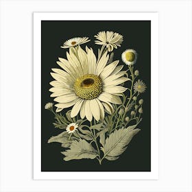Daisy Wildflower Vintage Botanical 2 Art Print