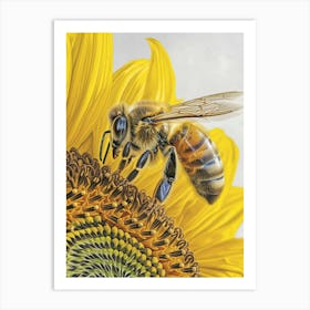 Halictidae Bee Storybook Illustration 9 Art Print