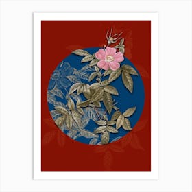 Vintage Botanical Pink Boursault Rose on Circle Blue on Red n.0187 Art Print