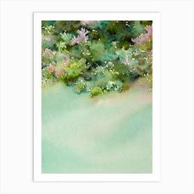 Acropora Lokani Storybook Watercolour Art Print