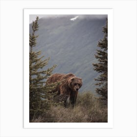 Bear On Mountain Top Art Print