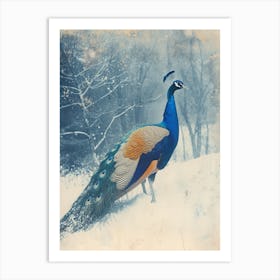 Orange & Blue Peacock In A Snow Scene 1 Art Print