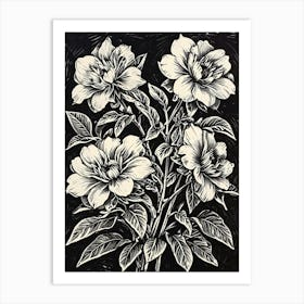 Peonies 7 Art Print