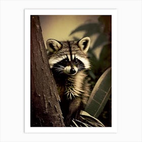 Raccoon Behind Tree Vintage Photography Art Print