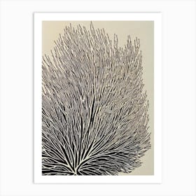 Acropora Anthocercis Ii Linocut Art Print