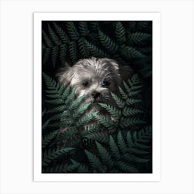 Puppy In The Ferns Art Print