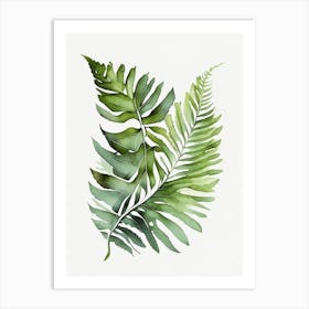 Flat Leaf Fern Watercolour Art Print