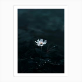 Single Flower In Water 30 Art Print