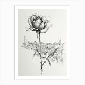 English Rose In The City Line Drawing 2 Art Print