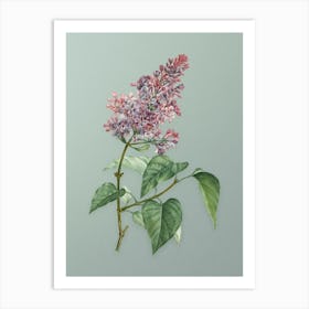 Vintage Common Pink Lilac Plant Botanical Art on Mint Green n.0016 Art Print