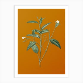 Vintage Maranta Arundinacea Botanical on Sunset Orange n.0373 Art Print