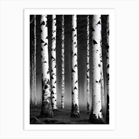 Birch Forest 65 Art Print