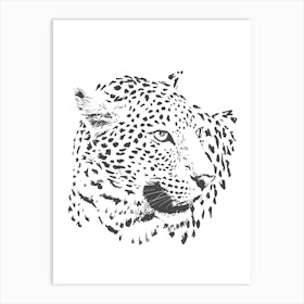 Leopard Head Vector Illustration Art Print