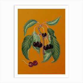 Vintage Hard Fleshed Cherry Botanical on Sunset Orange n.0021 Art Print