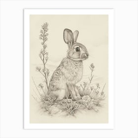 Argente Rabbit Drawing 3 Art Print