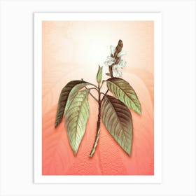 Malabar Nut Vintage Botanical in Peach Fuzz Seigaiha Wave Pattern n.0285 Art Print