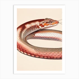 Copperhead Snake 1 Vintage Art Print