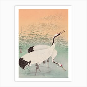 Two Cranes (1925 1936), Ohara Koson Art Print