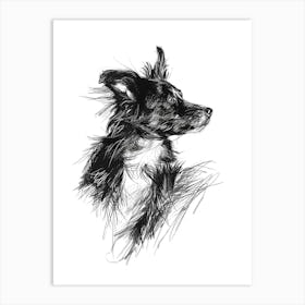 Miniature American Shepherd Dog Line Sketch 3 Art Print