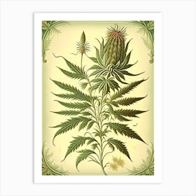 Hemp Herb Vintage Botanical Art Print