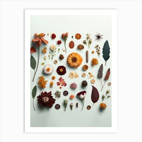 Dried Flowers Collection Green Art Print