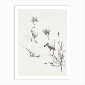 Greeting Card With Four Spoonbills (1878–1917), Theo Van Hoytema Art Print