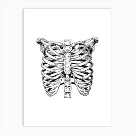 Black Chest Anatomy Black And White 1 Art Print