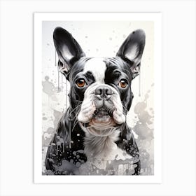 Boston Terrier Art Print