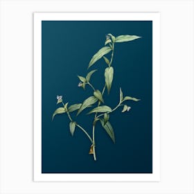 Vintage Tagblume Botanical Art on Teal Blue n.0240 Art Print