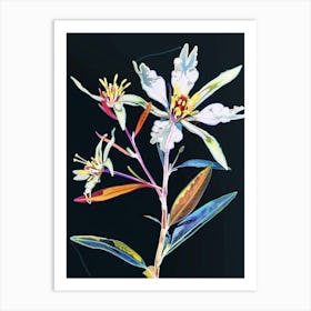 Neon Flowers On Black Edelweiss 2 Art Print